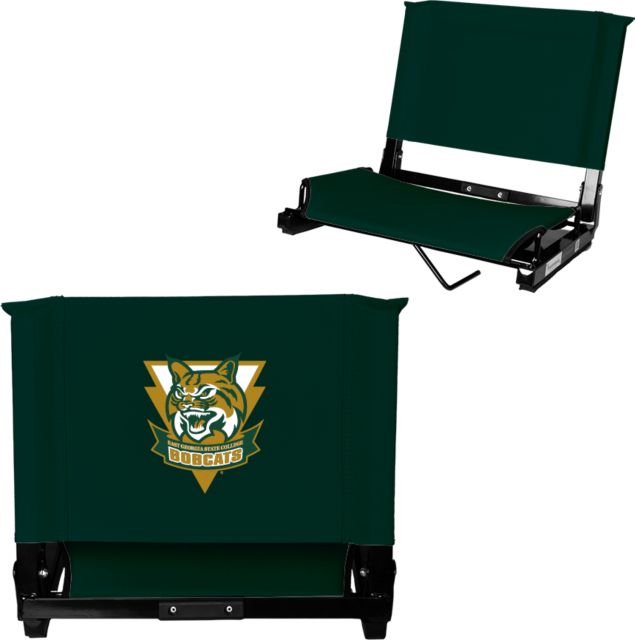 East Georgia State Stadium Chair Primary Athletic Mark - ONLINE ONLY