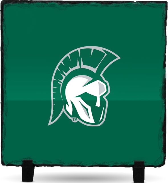 Illinois Wesleyan Photo Slate Head Mark - ONLINE ONLY
