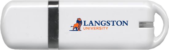 Langston USB Pen Drive 4G Secondary Mark - ONLINE ONLY