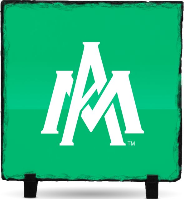 Arkansas Monticello Photo Slate Primary Mark - ONLINE ONLY