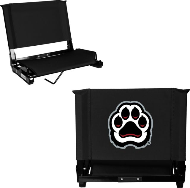 D Youville Stadium Chair D Youville Athletics Paw