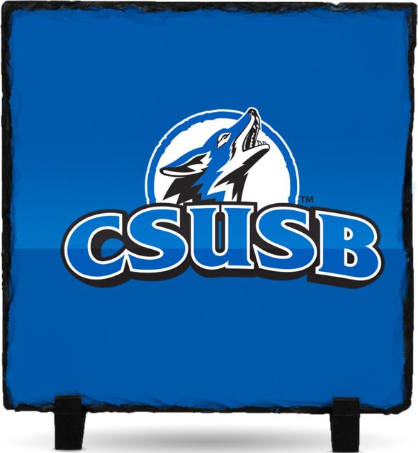 Cal State San Bernardino Photo Slate Primary Logo - ONLINE ONLY