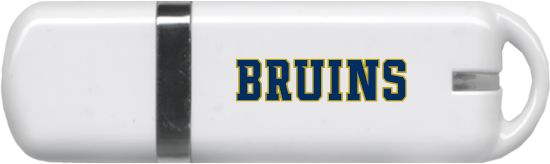 George Fox USB Pen Drive 4G Bruins - ONLINE ONLY