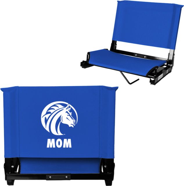 Fayetteville Stadium Chair Mom - ONLINE ONLY