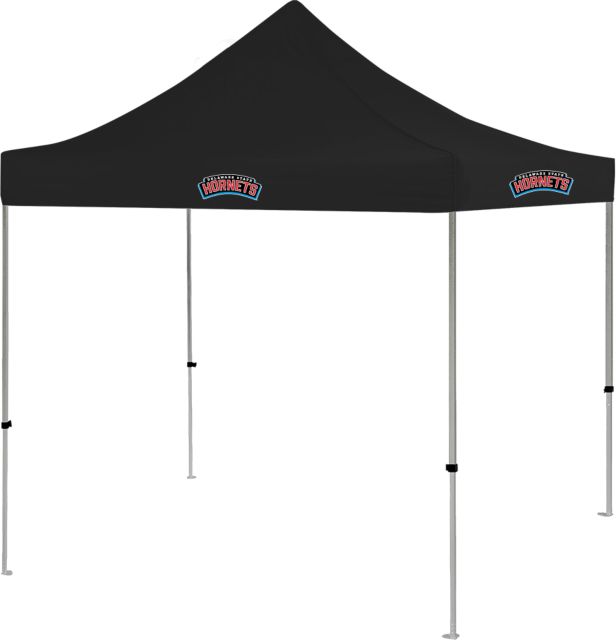Delaware State 9 ft x 9 ft Tent Delaware State Primary Athletic Wordmark - ONLINE ONLY