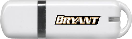Bryant USB Pen Drive 4G Bryant - ONLINE ONLY