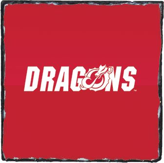 MSUM Photo Slate Dragons - ONLINE ONLY