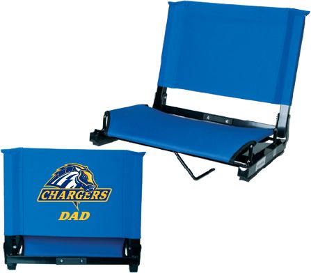 Custom Bleacher Seat