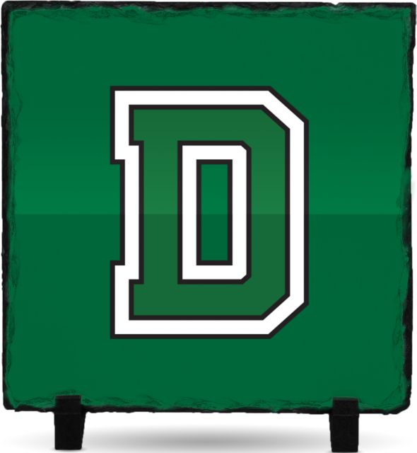 Dartmouth Photo Slate Primary Mark - ONLINE ONLY