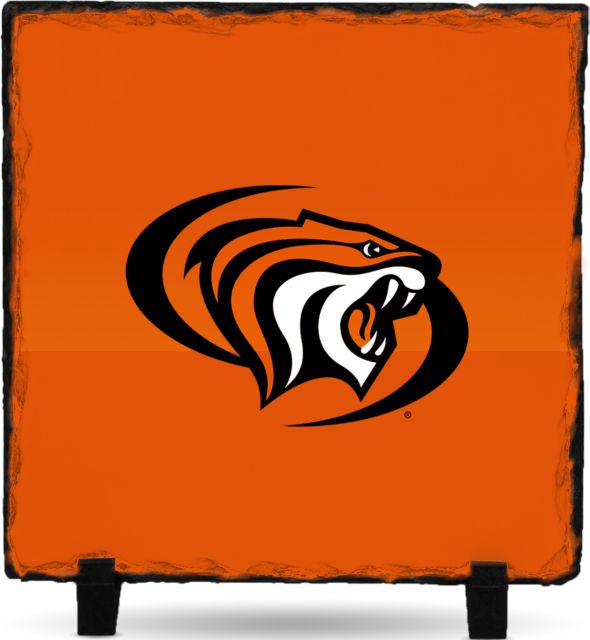 Pacific Tigers Photo Slate Pacific Powercat Primary Mark - ONLINE ONLY