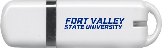 Fort Valley State USB Pen Drive 4G Wordmark - ONLINE ONLY
