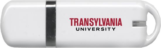 Transylvania USB Pen Drive 4G Institutional Word Mark - ONLINE ONLY
