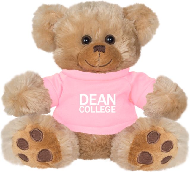 Dean College Plush Big Paw 8 1/2 inch Bear w/Pink Shirt Primary Mark - ONLINE ONLY