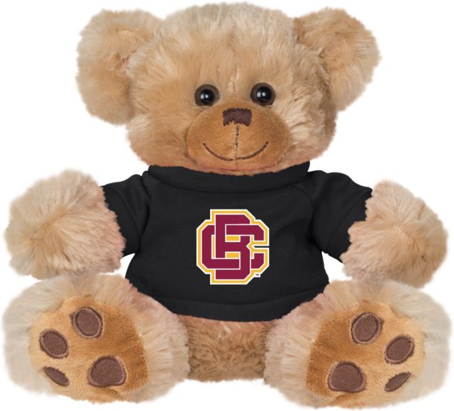 Bethune Cookman Plush Big Paw 8 1/2 inch Bear w/ Shirt Primary Mark - ONLINE ONLY