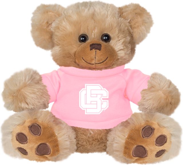 Bethune Cookman Plush Big Paw 8 1/2 inch Bear w/ Shirt Primary Mark - ONLINE ONLY