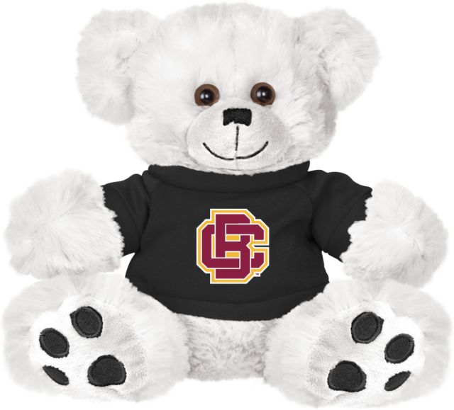 Bethune Cookman Plush Big Paw 8 1/2 inch Bear w/ Shirt Primary Mark - ONLINE ONLY