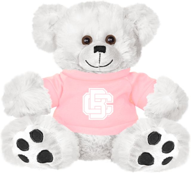 Bethune Cookman Plush Big Paw 8 1/2 inch Bear w/ Shirt Primary Mark - ONLINE ONLY