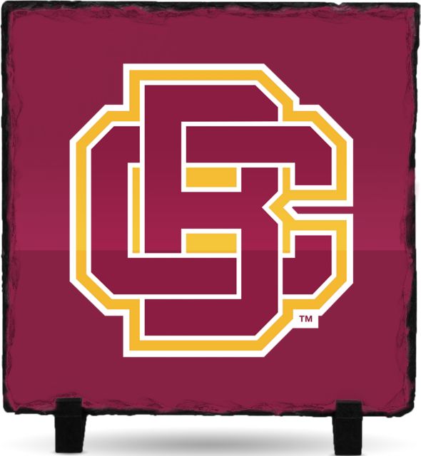 Bethune Cookman Photo Slate Primary Mark - ONLINE ONLY