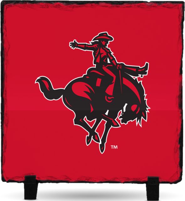 Northwestern OK Photo Slate Primary Mark - ONLINE ONLY