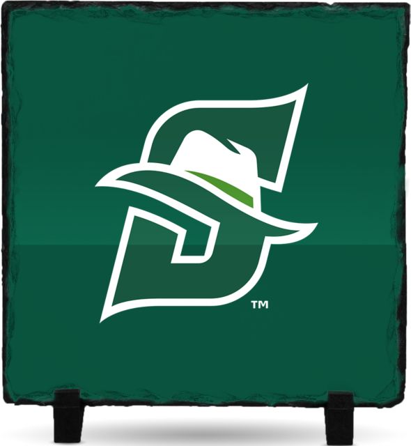 Stetson Photo Slate Primary logo - ONLINE ONLY