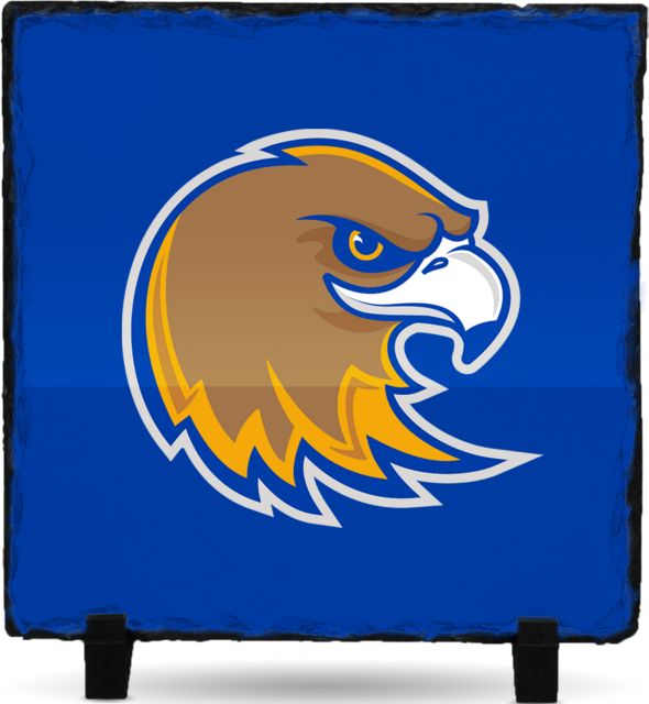 Northeastern Illinois Photo Slate Mascot Head - ONLINE ONLY