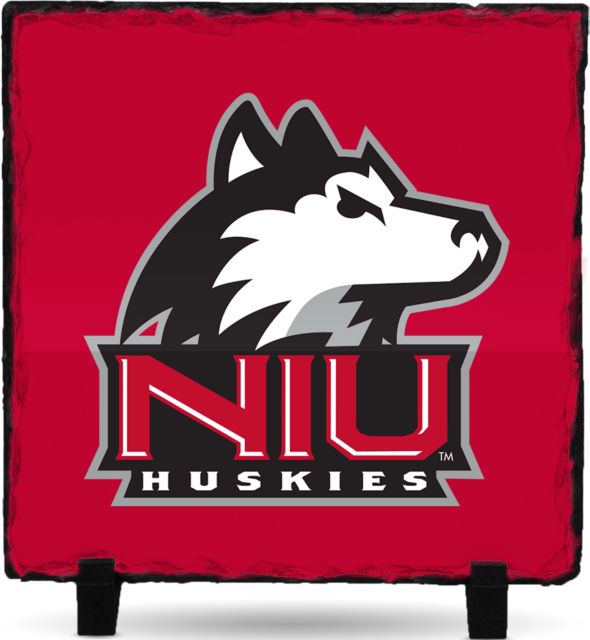 Northern Illinois Photo Slate Primary Mark - ONLINE ONLY