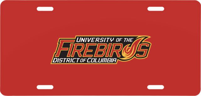 District of Columbia License Plate Primary Mark - ONLINE ONLY