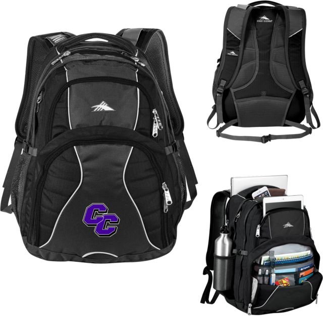 Curry College High Sierra Swerve Compu Backpack CC - ONLINE ONLY