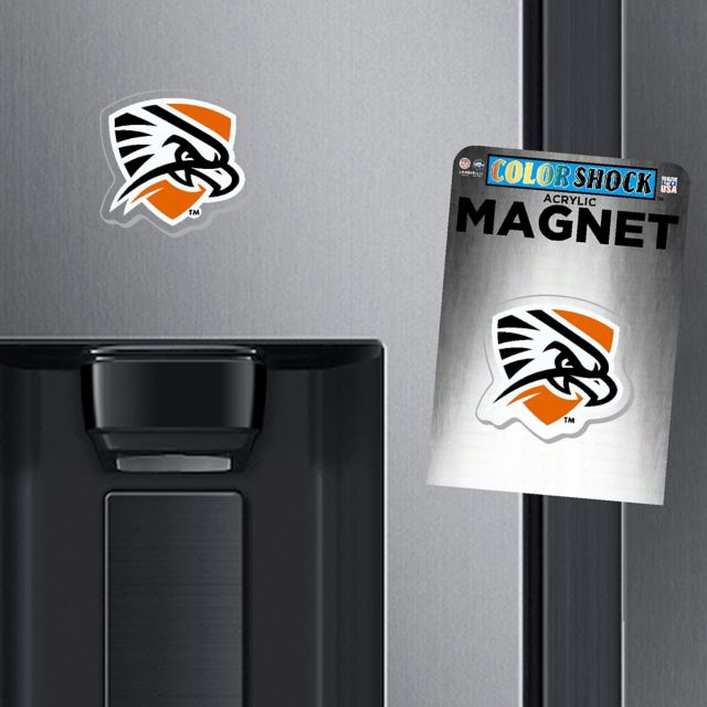 University of Texas Permian Basin 7in. Falcons Magnet