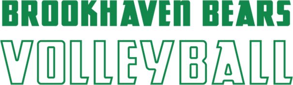 Brookhaven Bears Medium Decal Volleyball - ONLINE ONLY