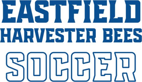 Eastfield Harvester Bees Medium Decal Soccer - ONLINE ONLY