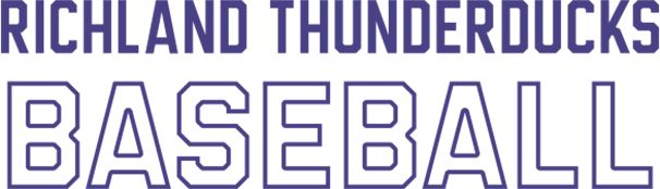 Richland Thunderducks Medium Decal Baseball Flat Text - ONLINE ONLY