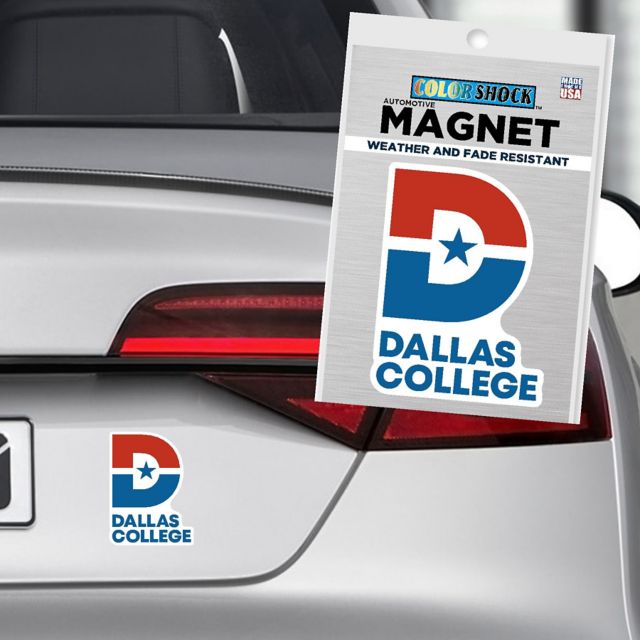 Dallas College State 4" x 4" Magnet