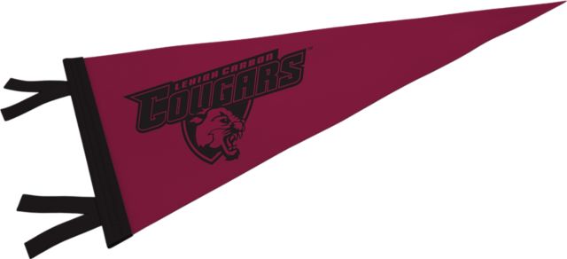 Lehigh Carbon Community College Cougars 9'' x 24'' Pennant