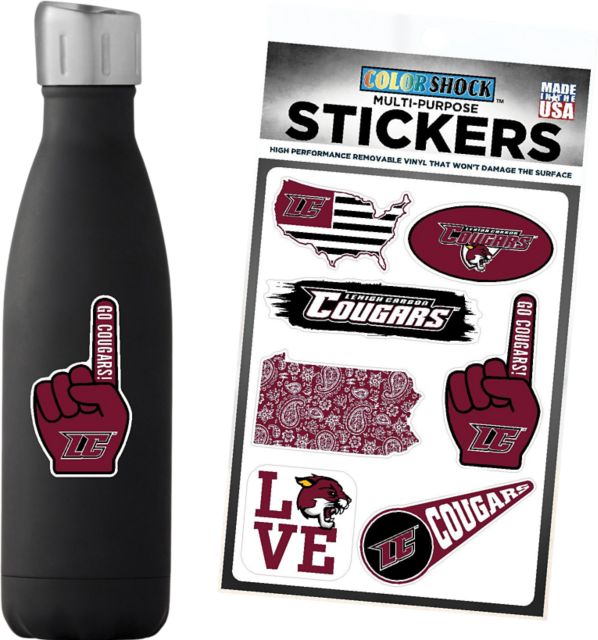 Lehigh Carbon Community College 7.5'' x 7.5'' Sticker Sheet