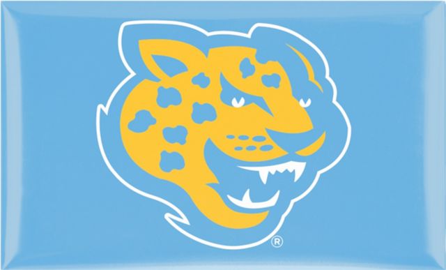 Southern University and A&M College Jaguars 3x5 Dome Magnet
