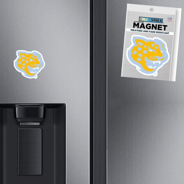 Southern University and A&M College Jaguars Mini Magnet
