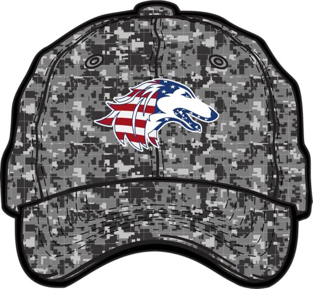 Southern Illinois University Cap