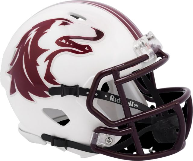 Southern Illinois University Mini Helmet