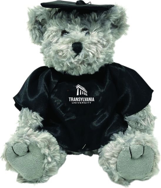 Transylvania University Graduation Bear