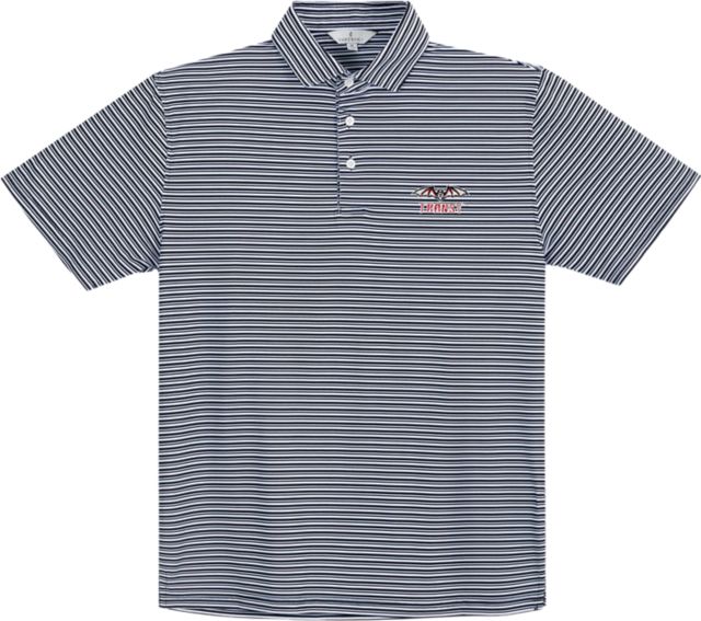 Transylvania University Performance Stripe Polo