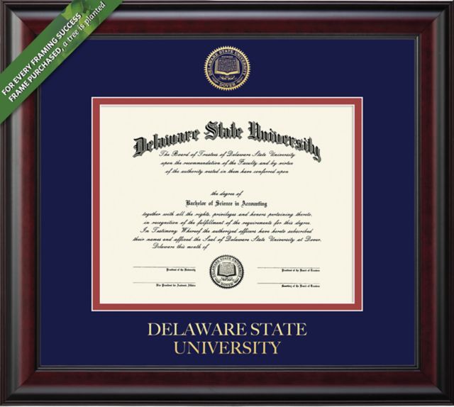 Delaware State University 8'' x 10'' Classic Diploma Frame