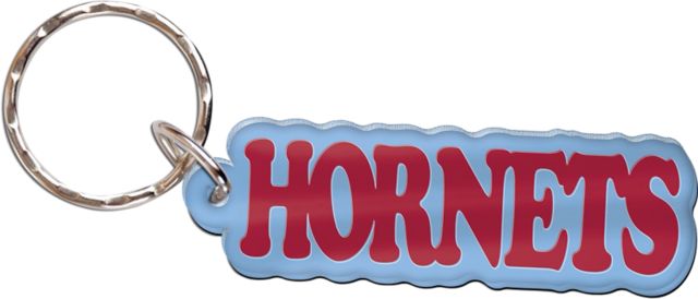 Delaware State University Keychain