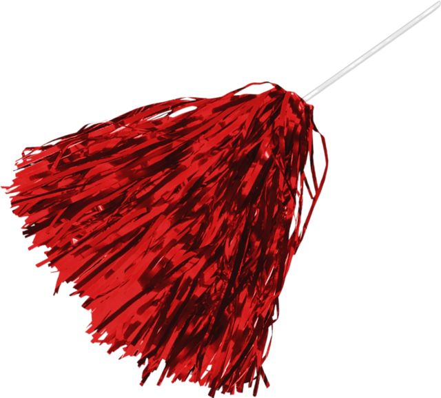 Delaware State University Shimmer Pom