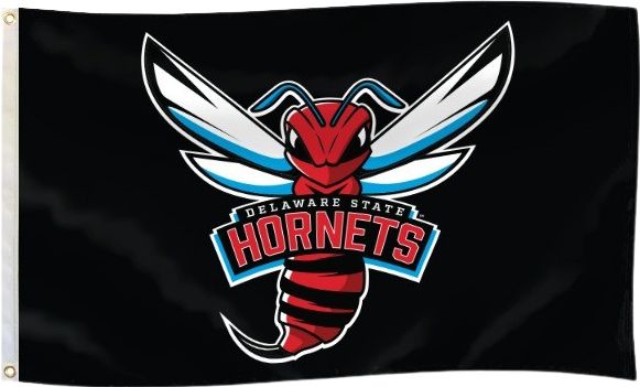 Delaware State University 3x5 Flag