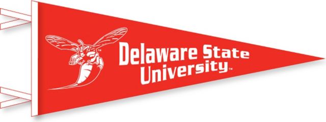 Delaware state university application status