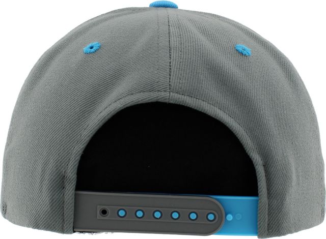 Delaware State University Cap