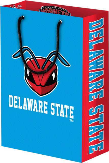 Delaware State University Gift Bag