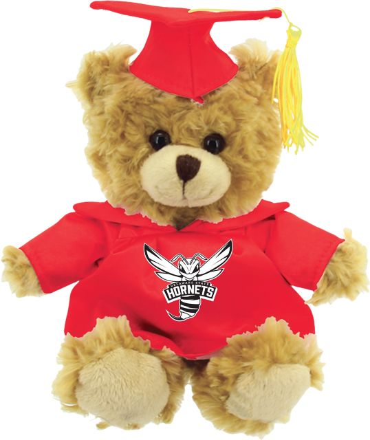 Delaware State University 12'' Graduation Bear