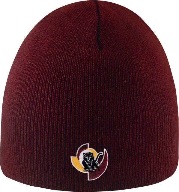 Hartnell Community College Panthers Beanie